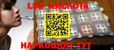 гидропоника Новозыбков