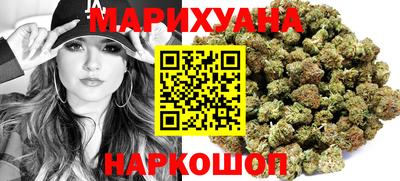 гидропоника Новозыбков