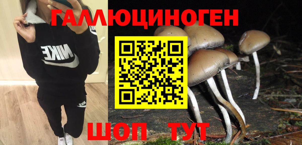 Галлюциногенные грибы Cubensis  Псилоцибиновые грибы мицелий  Вход с VPN  Ялуторовск 